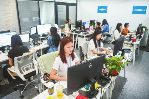 海口加速數(shù)據(jù)跨境業(yè)務(wù)發(fā)展，打造數(shù)字高地與軟件開發(fā)新引擎